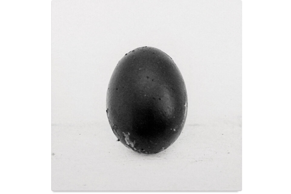 black acid soul, BMG, bruise, chris seefried, christian cambell, cooper t, foundation, foundation music, foundation music productions, lady blackbird, marley munroe