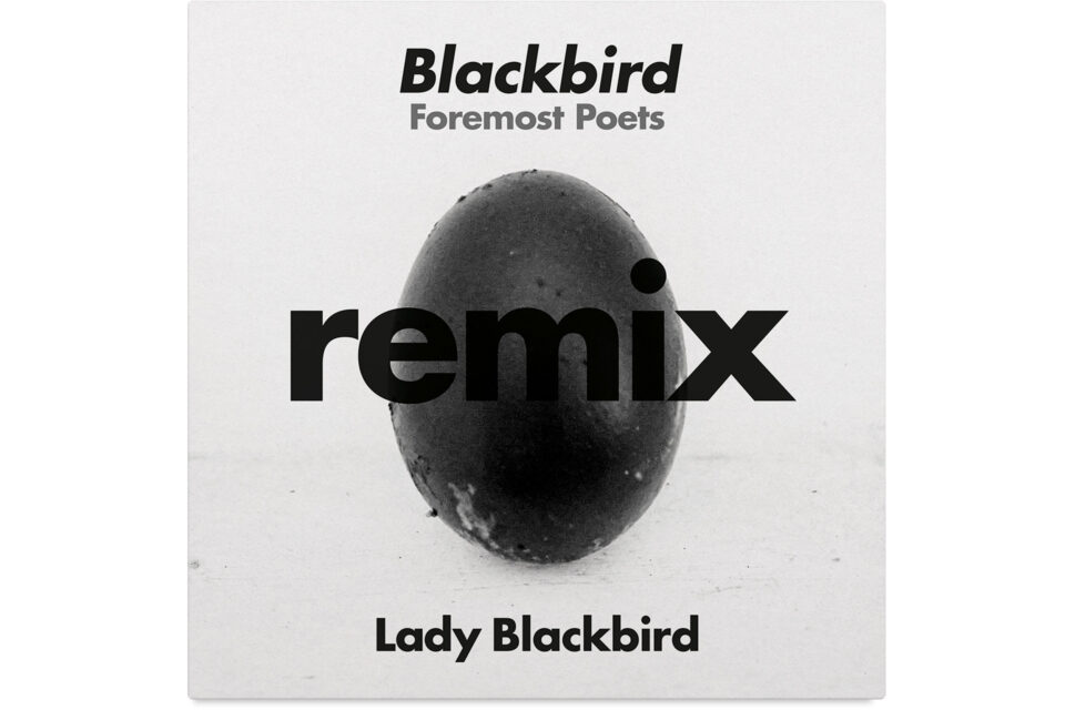black acid soul, BMG, bruise, chris seefried, christian cambell, cooper t, foundation, foundation music, foundation music productions, lady blackbird, marley munroe
