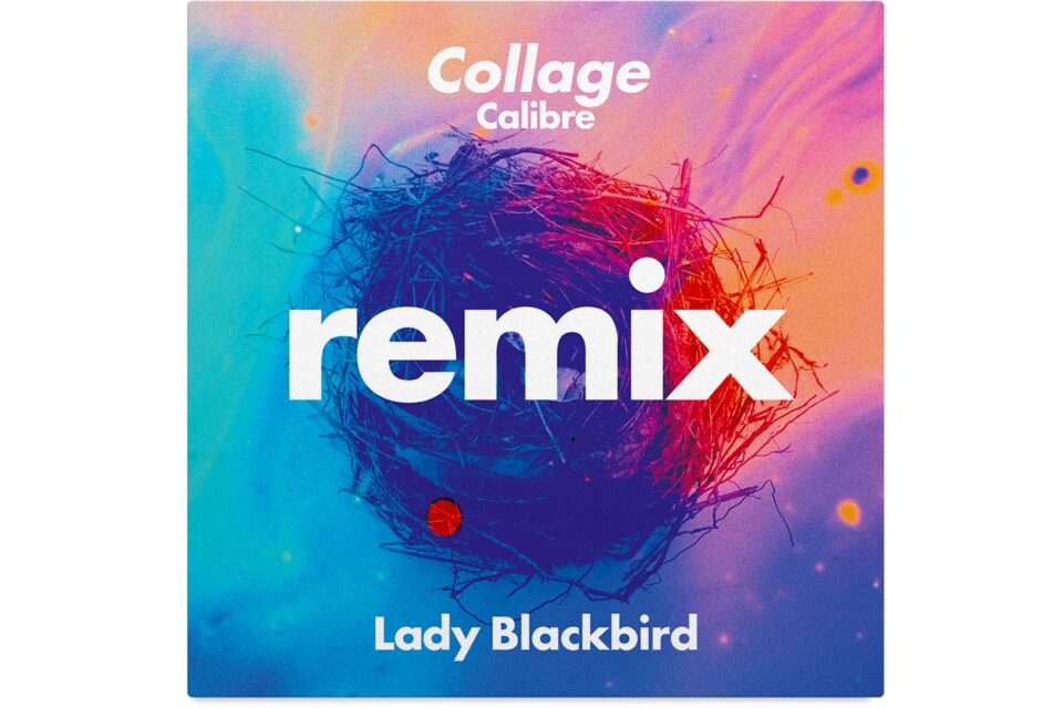 black acid soul, BMG, bruise, chris seefried, christian cambell, cooper t, foundation, foundation music, foundation music productions, lady blackbird, marley munroe